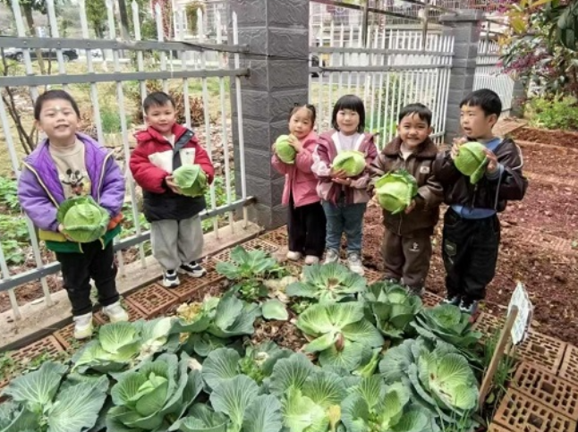 郴州市临武县第二幼儿园：甘蓝里的食育 舌尖上的传韵