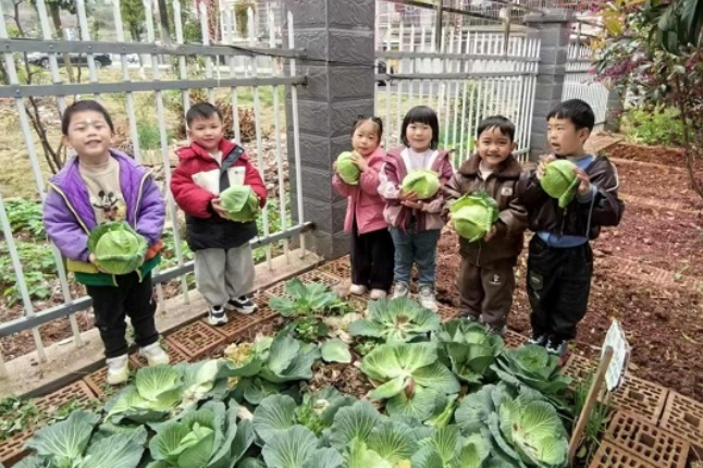 郴州市临武县第二幼儿园：甘蓝里的食育 舌尖上的传韵