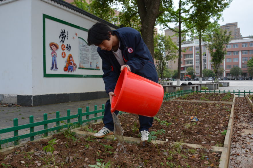 常德市第三中学：把课堂搬进农场里 让成长扎根沃土中