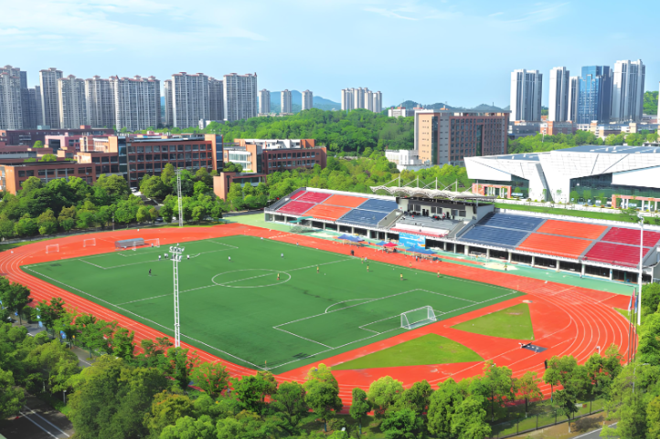 益阳市首个国际足联认证专业球场投用