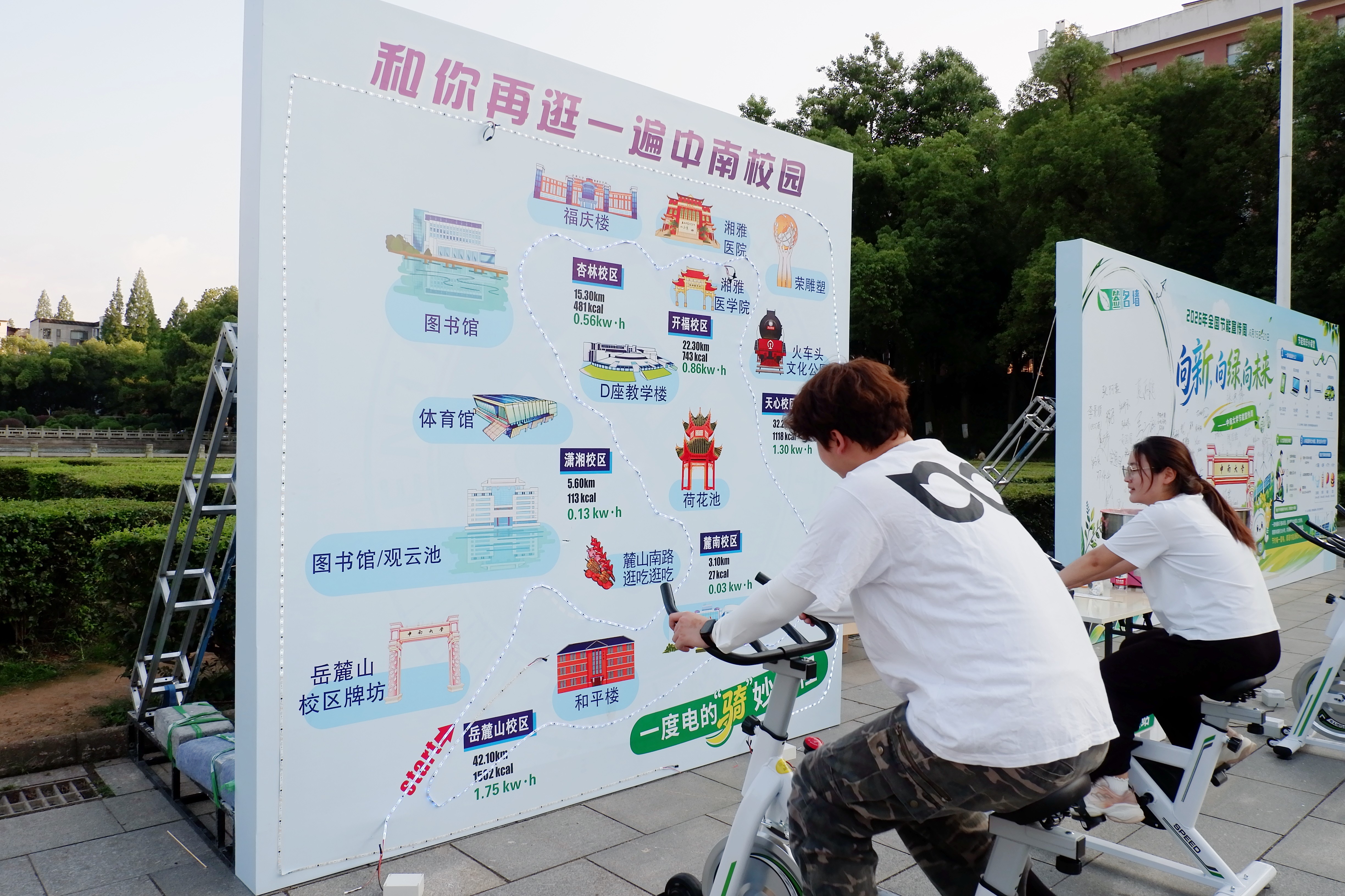 发光树23.jpg