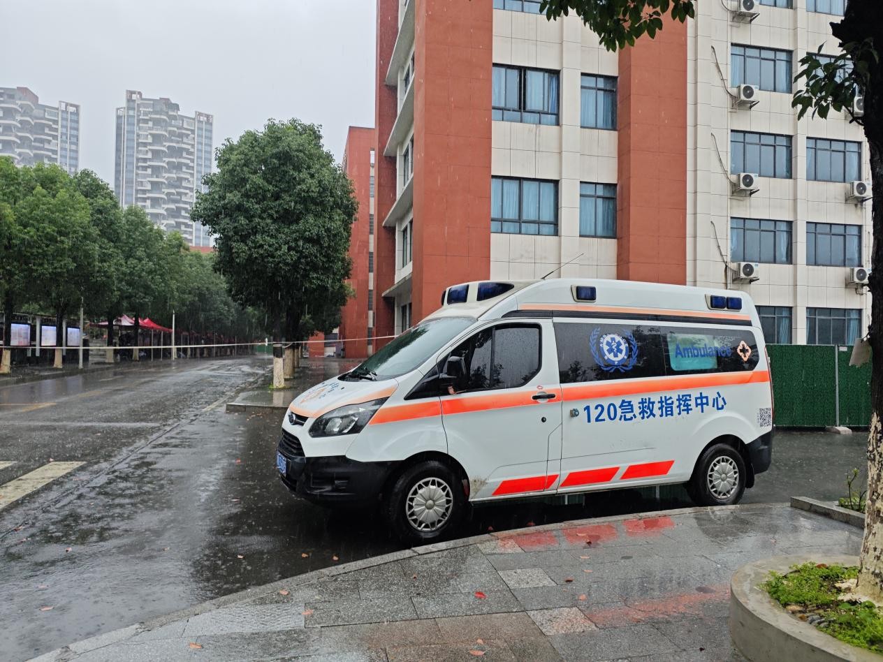 凤凰9.jpg