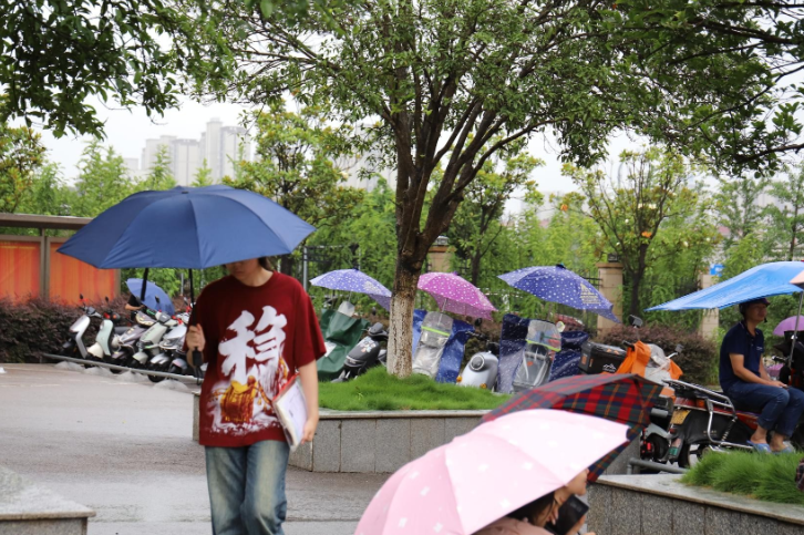 临武一中：用细节书写雨中答卷