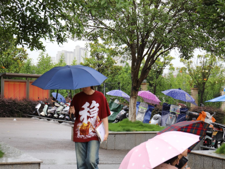 临武一中：用细节书写雨中答卷