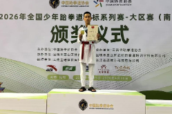 株洲市芦淞区体育路中学学子征战全国少年跆拳道锦标系列赛斩获佳绩