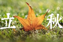 今日立秋