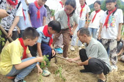 新晃新寨小学：深耕劳动教育沃土 赋能学生全面成长