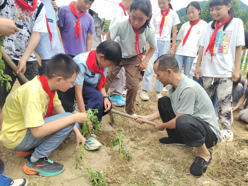 新晃新寨小学：深耕劳动教育沃土 赋能学生全面成长