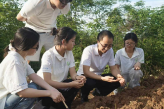 湖南工学院实践团深耕田间沃土 为乡村耕地做“土壤体检”