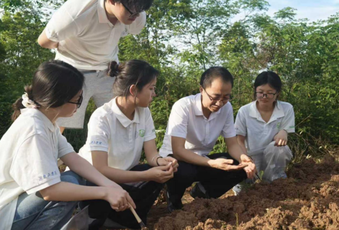 湖南工学院实践团深耕田间沃土 为乡村耕地做“土壤体检”
