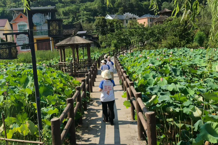 吉首大学：走访榔木村，解码网红乡村的振兴启示