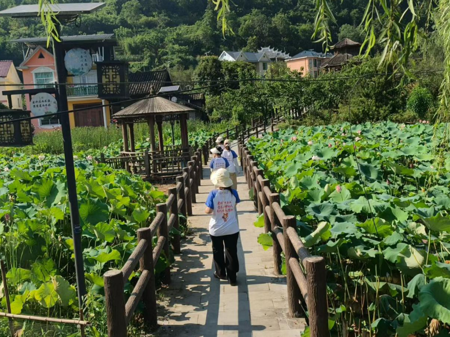 吉首大学：走访榔木村，解码网红乡村的振兴启示