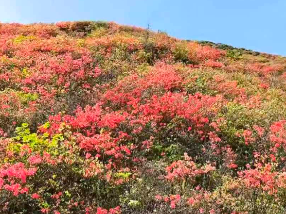 我的国我的家 |【常宁站】爬天堂山