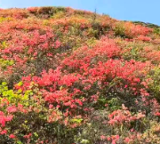我的国我的家 |【常宁站】爬天堂山