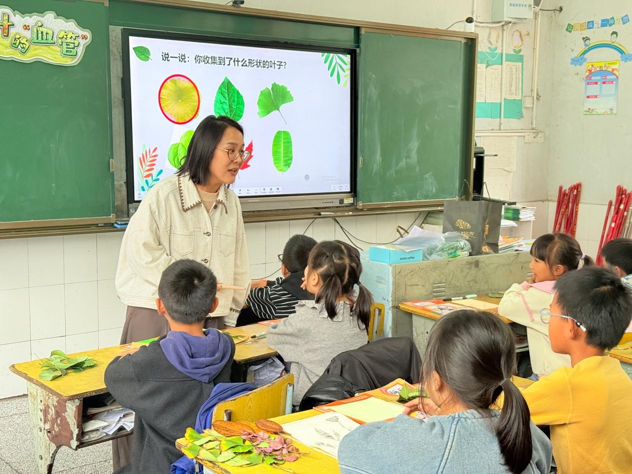 图片2.jpg
