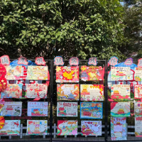 【耒阳站】罗含小学：国庆实践展成果，爱国教育润童心
