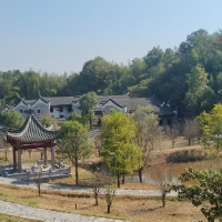 我的国我的家 |【衡阳县站】笔墨牵海峡，故土藏芳华