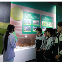 【衡阳县站】弘扬中学：行走粮食课堂，树立节粮风尚