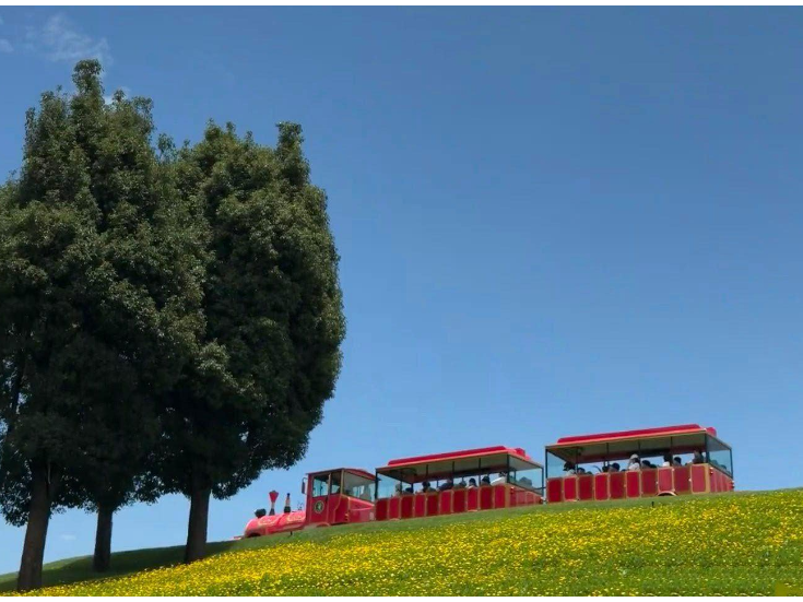 我的国我的家 |【鼎城区站】一湖灯火，万里家国