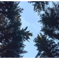 我的国我的家 |【慈利站】通向幸福的路