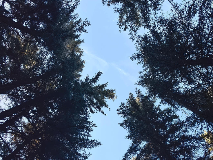 我的国我的家 |【慈利站】通向幸福的路