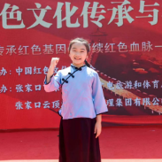 【辰溪站】在红色故事中汲取力量