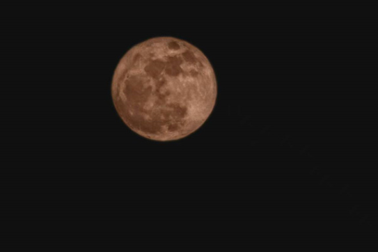【新晃站】桂香漫夜，月照人间