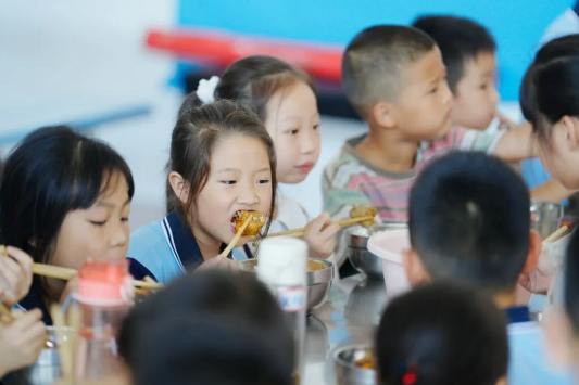 “餐桌革命”——桃源县中小学食堂管理改革写真