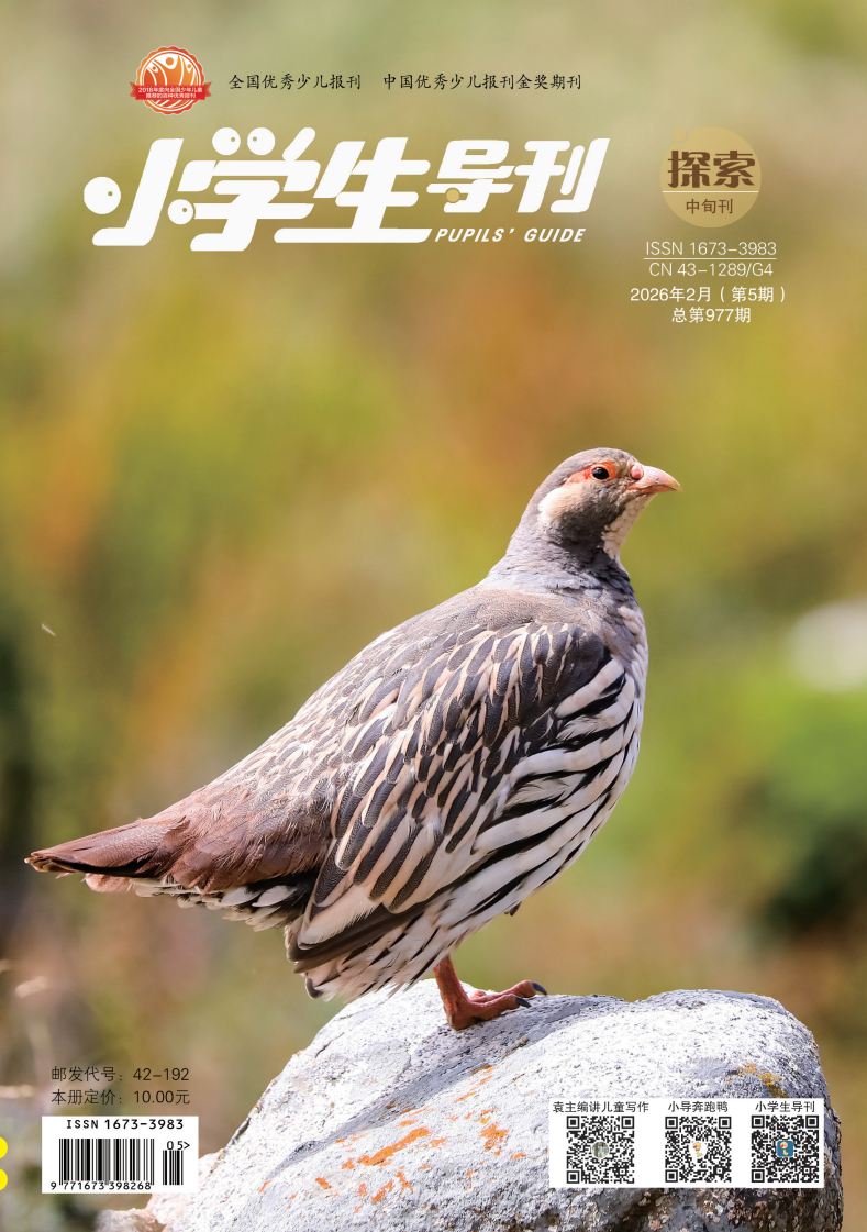小学生导刊·探索.png