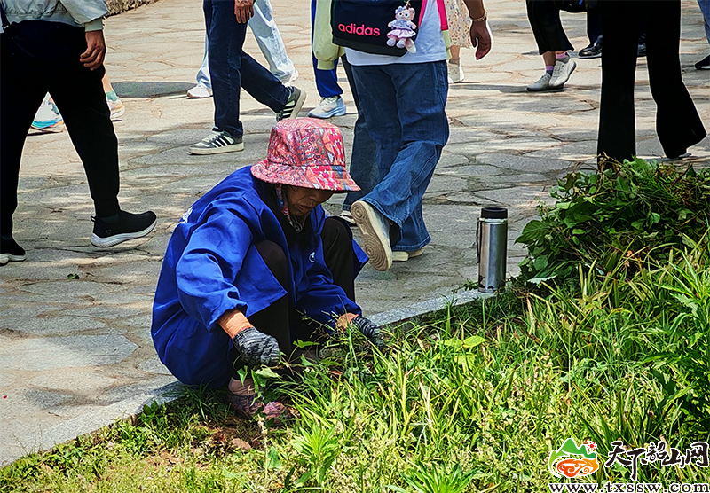 环保2.jpg