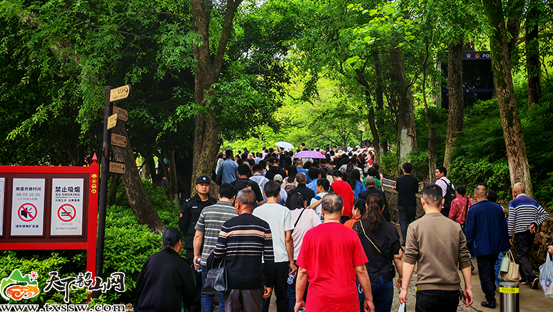 大批游客前往故居参观.jpg
