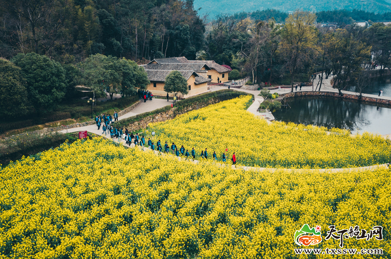 DJI_0032_副本.jpg