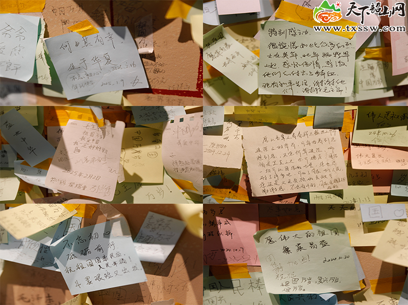 图片2_副本.png