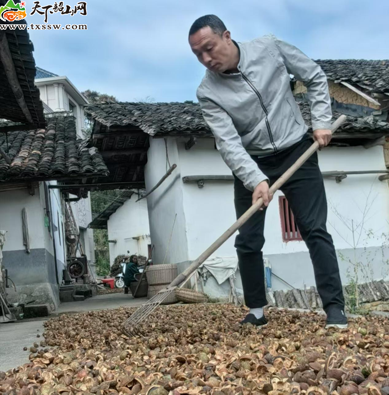 图片3_副本.png