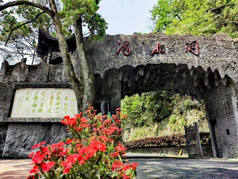 杜鹃花开好时节  滴水情深忆伟人