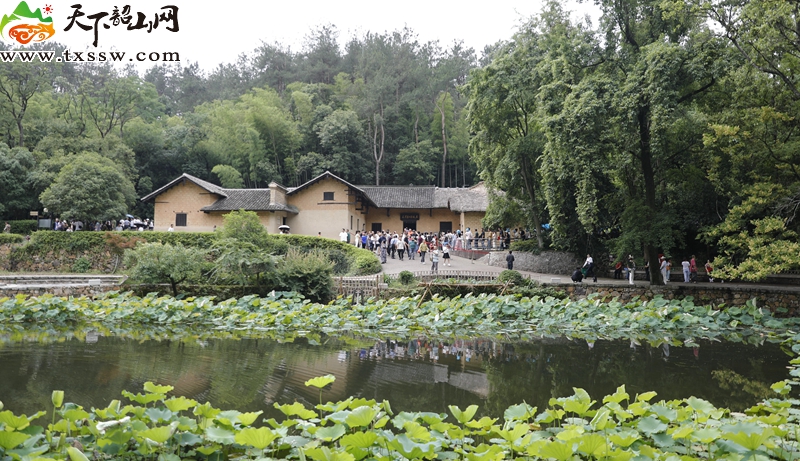 _A9A0903_毒霸看图_副本.jpg