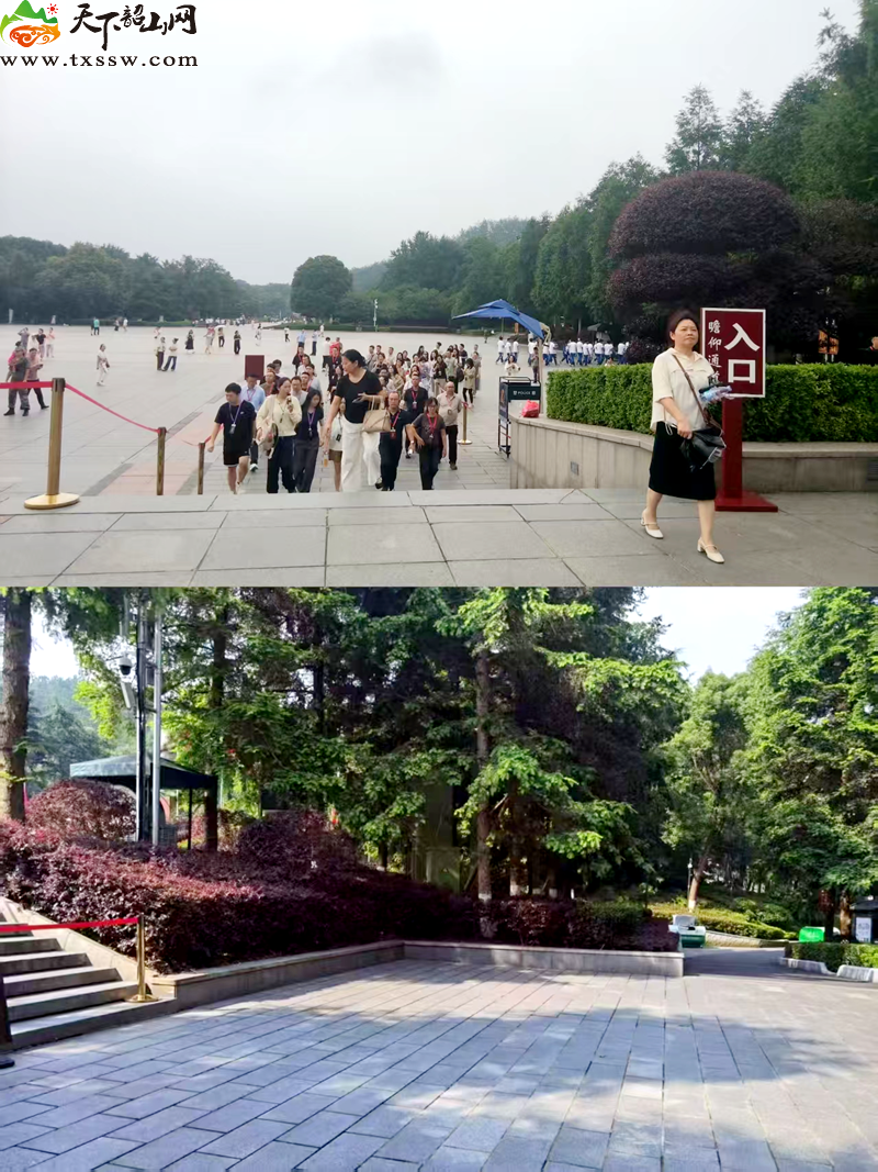 图片2_副本.png