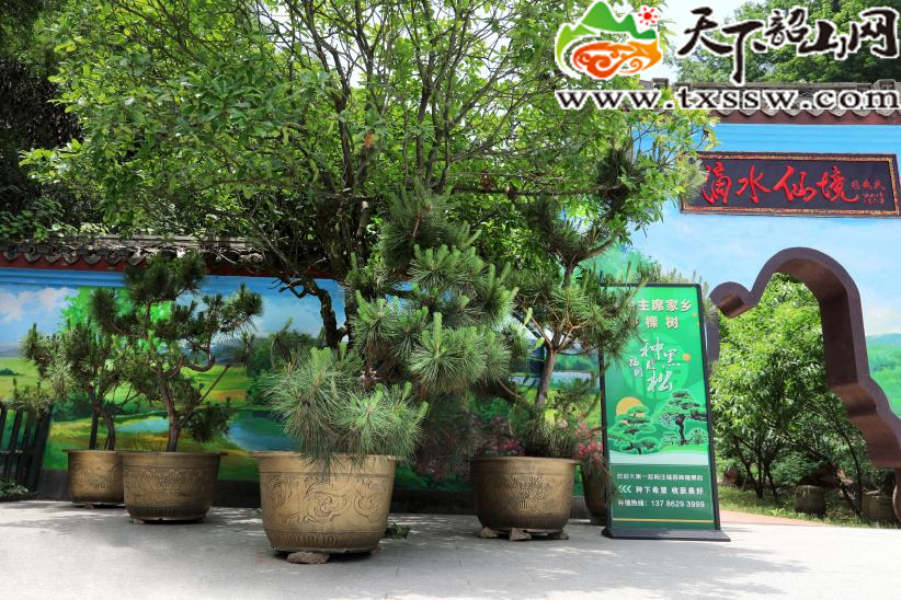 图片6.jpg