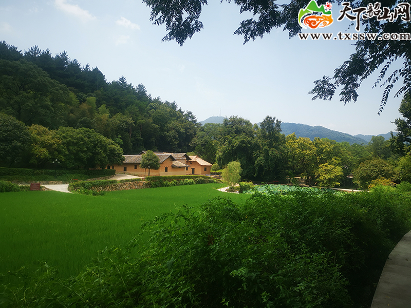 图片3.jpg 图片3.jpg