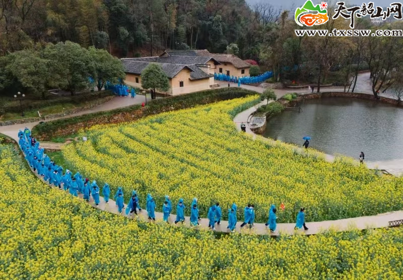 图片7.jpg 图片7.jpg