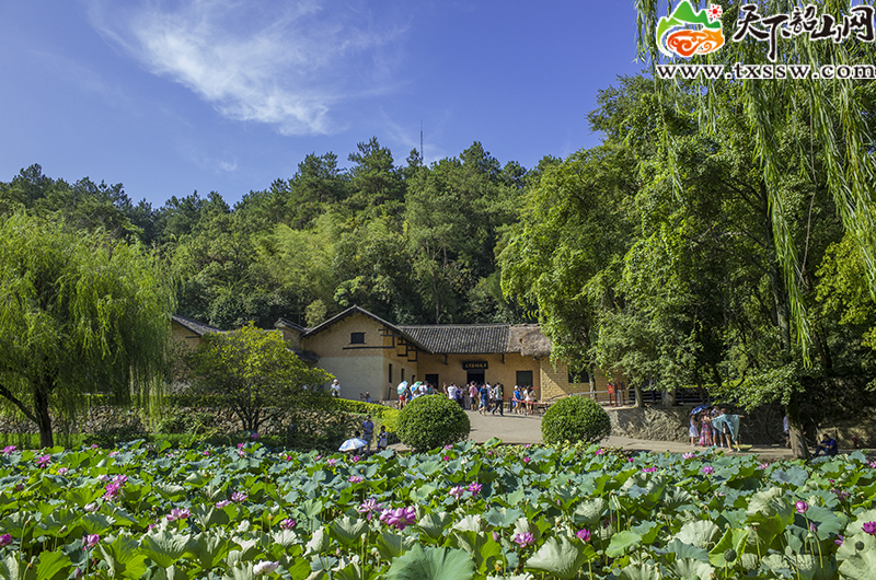 图片10.jpg 图片10.jpg