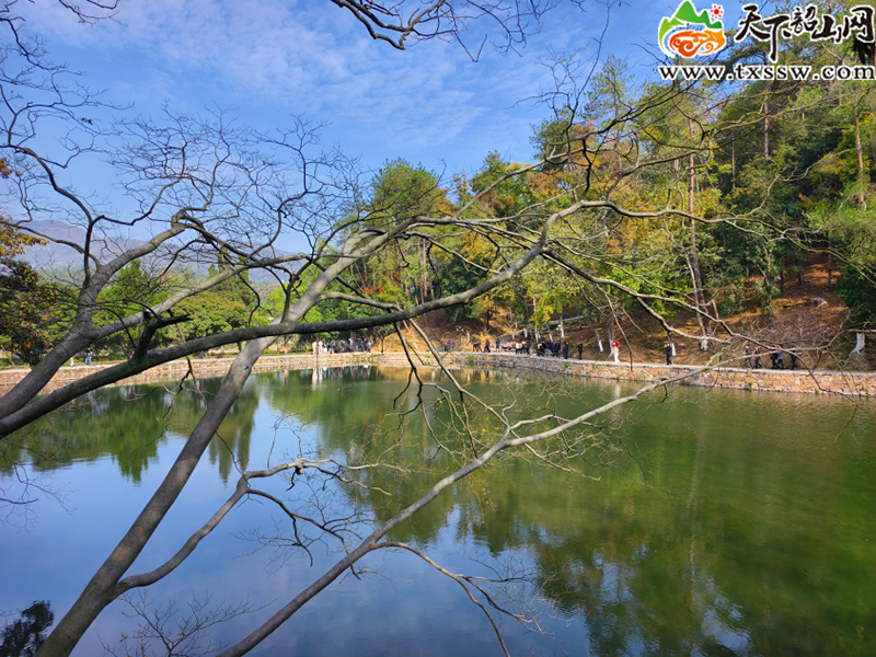 图片22.jpg 图片22.jpg