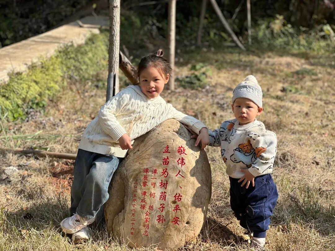 跨越两年的纪念：姐弟接力种银杏，滴水洞中传承红色文化