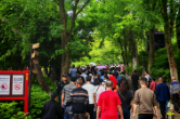 完美收官！五一小长假，韶山核心景区交出亮眼答卷