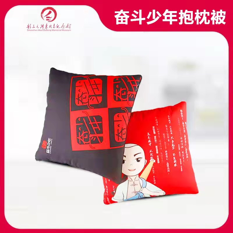 奋斗系列抱枕被 (2).jpg