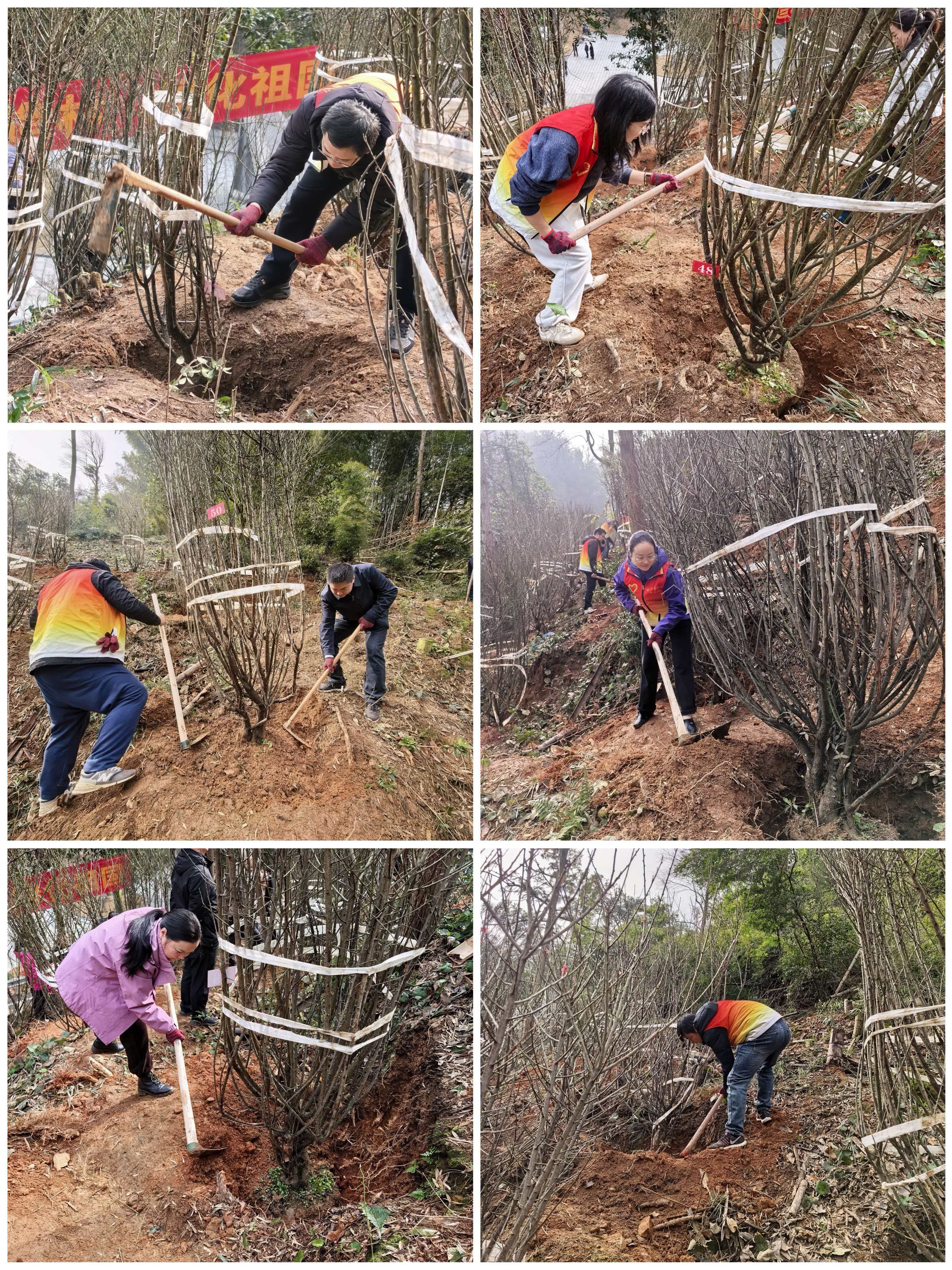 微信图片_20260311152310_541_9.jpg 微信图片_20260311152310_541_9.jpg