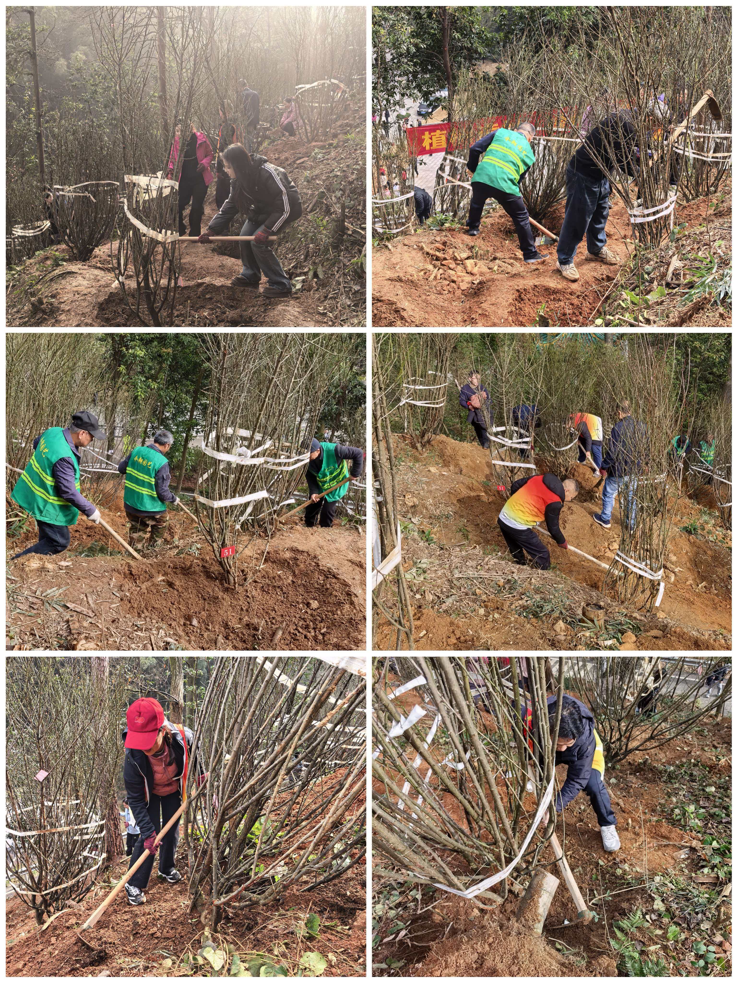 微信图片_20260311152312_542_9.jpg 微信图片_20260311152312_542_9.jpg