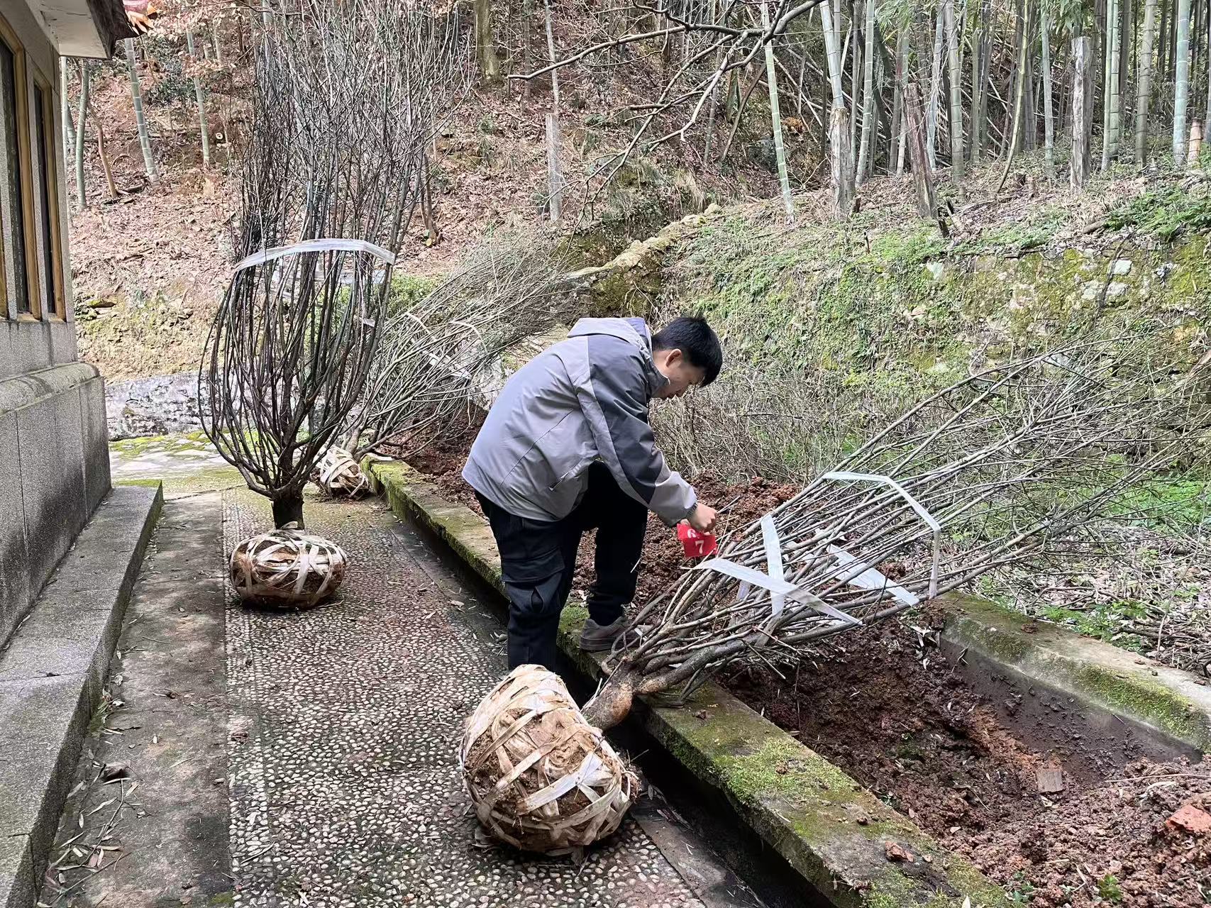 微信图片_20260304175112_918_18.jpg 微信图片_20260304175112_918_18.jpg