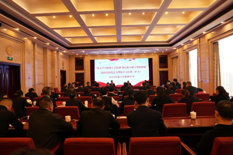 深入学习贯彻全会精神 凝心聚力谱写发展新篇 ——韶山賓館党总支理论学习小组组织2025年第十次集体（扩大）学习暨第四季度党员大会