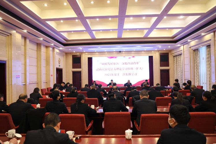 破解发展瓶颈 深化内部改革 ——韶山宾馆党总支理论学习小组组织2025年第十二次集体（扩大）学习